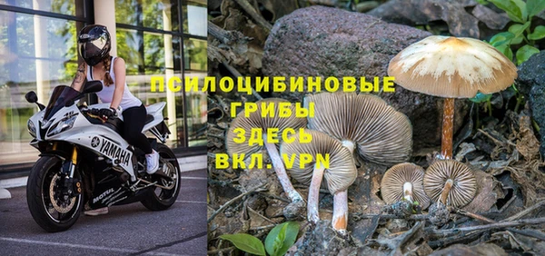 МДПВ Армянск