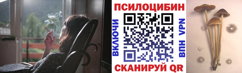 Псилоцибиновые грибы Psilocybe  omg ССЫЛКА  Аша 